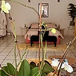 D'hotes The Yellow Cube Bed & Breakfast 3*