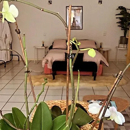 D'hotes The Yellow Cube Bed & Breakfast 3*