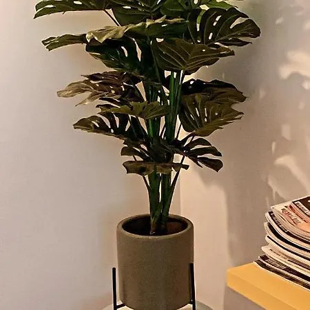 D'hotes The Yellow Cube Aubière